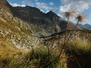 70 Pulsatilla alpina sfiorita con laghetto., Masoni e Pes Gerna...